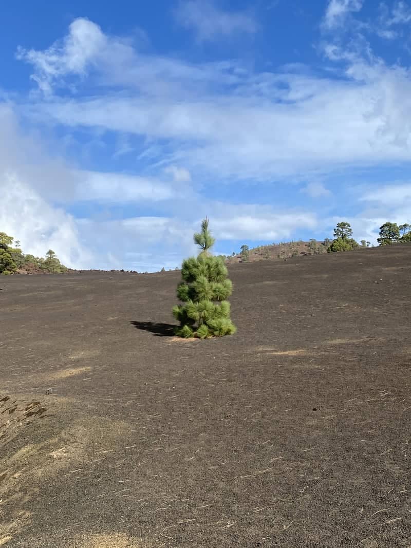 Teide National Park Volcanic Slopes - Image 1