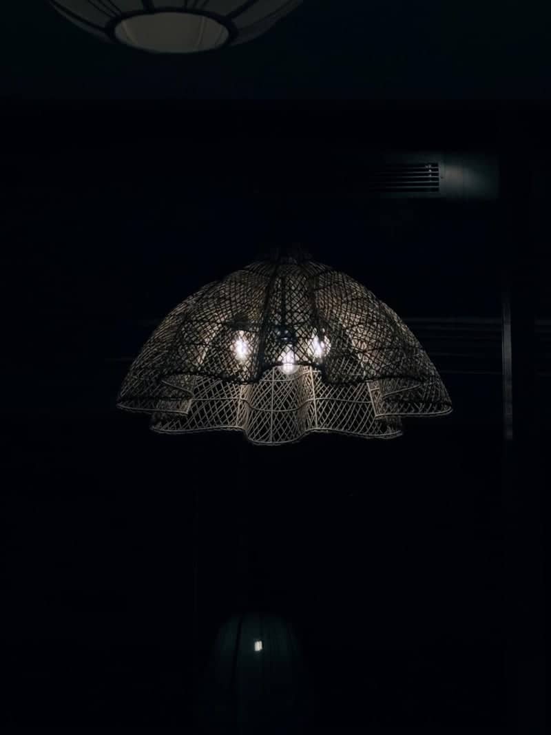 Woven Pendant Light Detail - Image 1