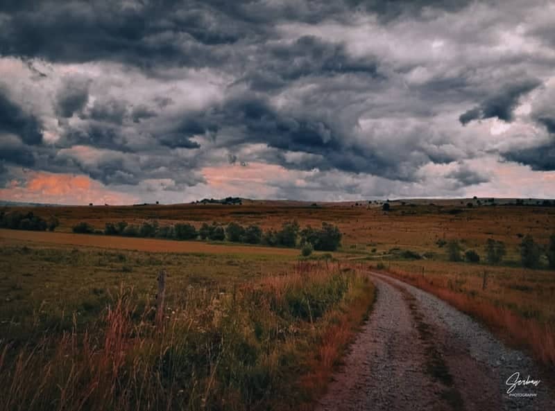 Dobrogea Countryside Road - Image 1