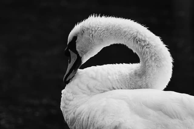 Karlsaue Park - Image 1