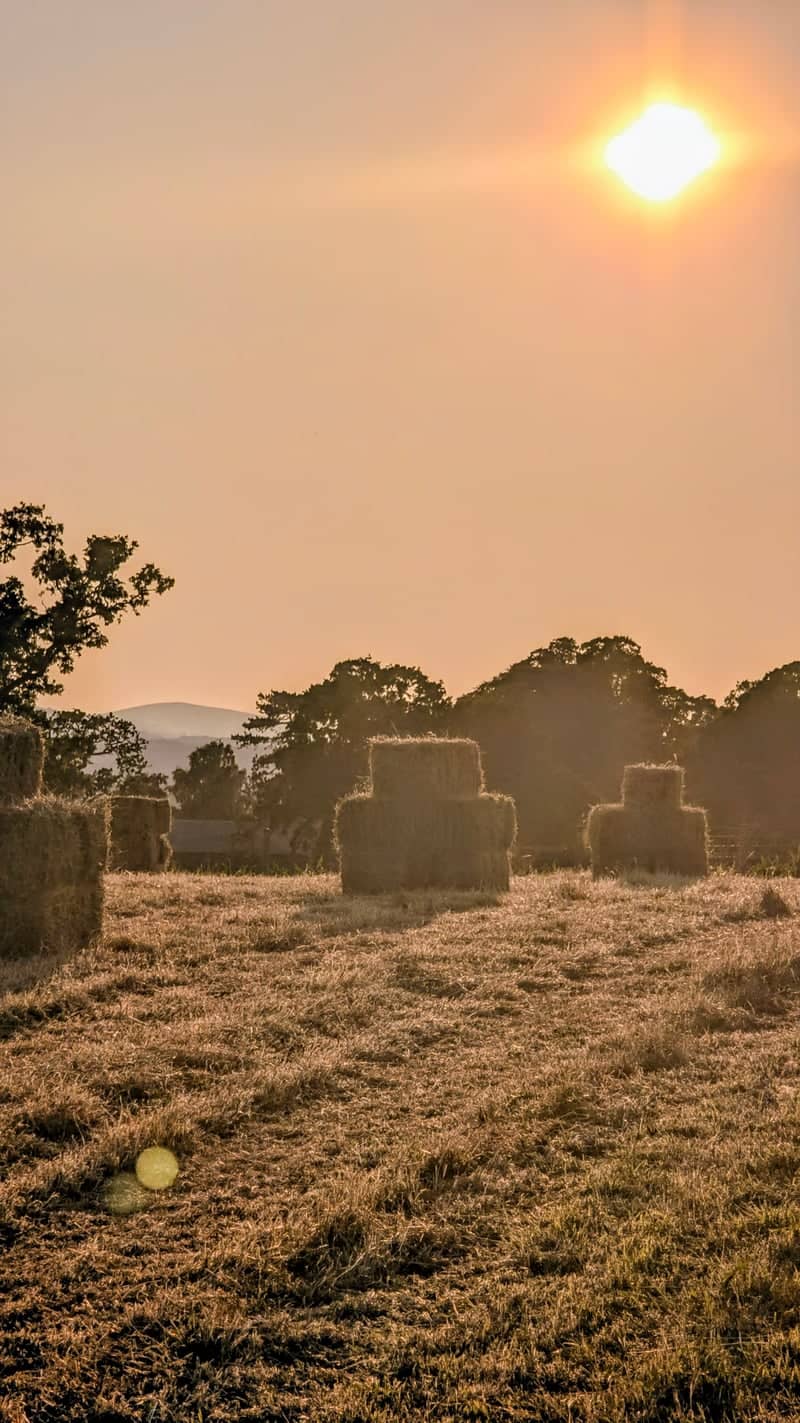 Vale of Clwyd Farmland - Image 1
