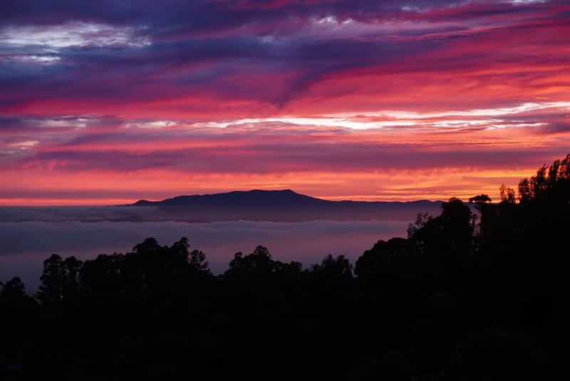 Berkeley Hills Sunset Overlook - Image 1