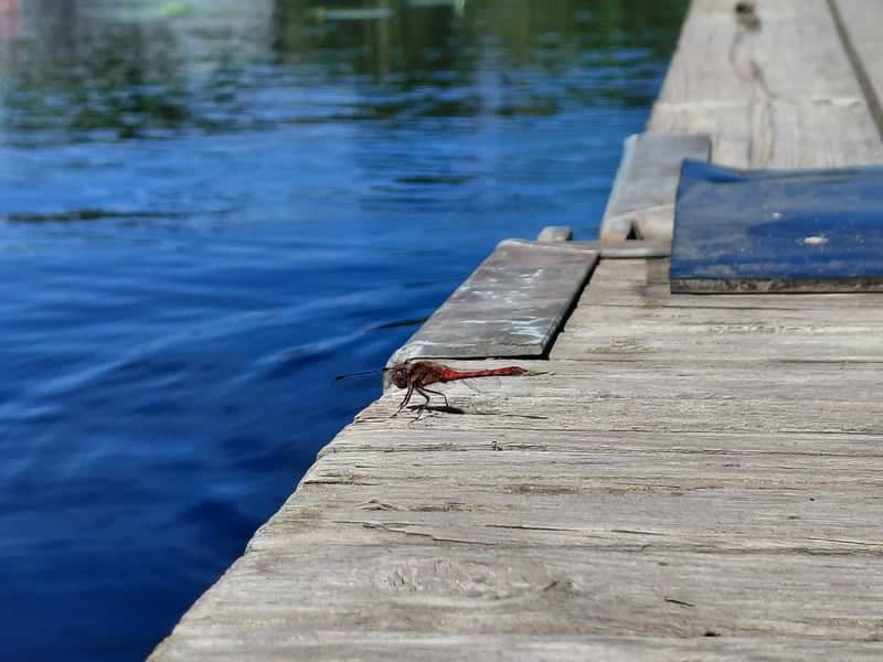 Lot River Pier at Duravel - Image 1