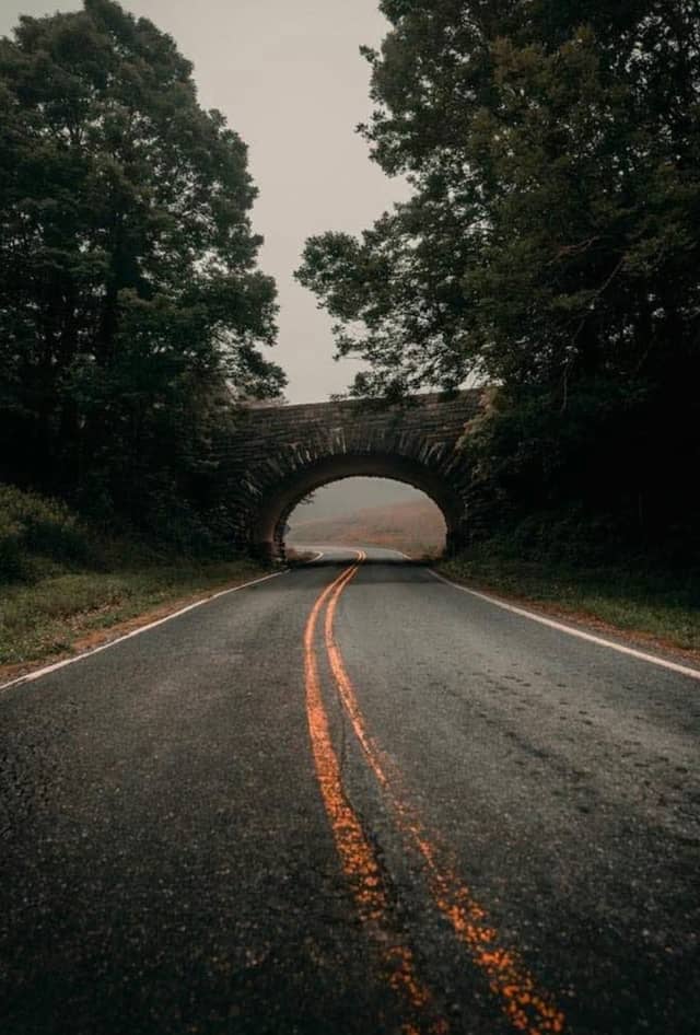 Stone Arch Forest Roadway - Image 1