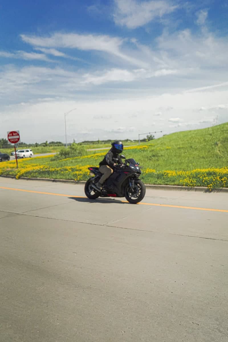 Ankeny Roadside Wildflowers - Image 1