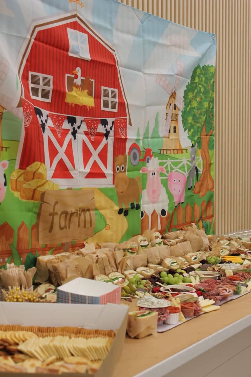 Indoor Farm-Themed Event Display - Image 1