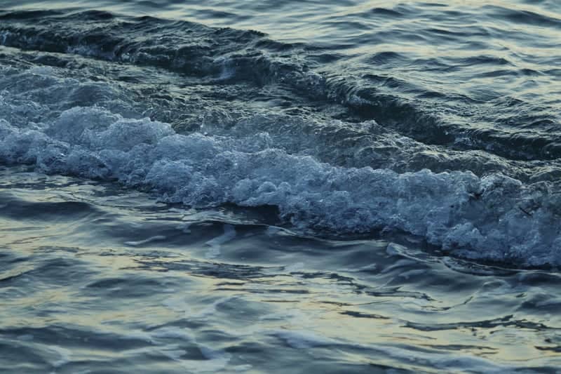 Lake Sammamish Shoreline - Image 1