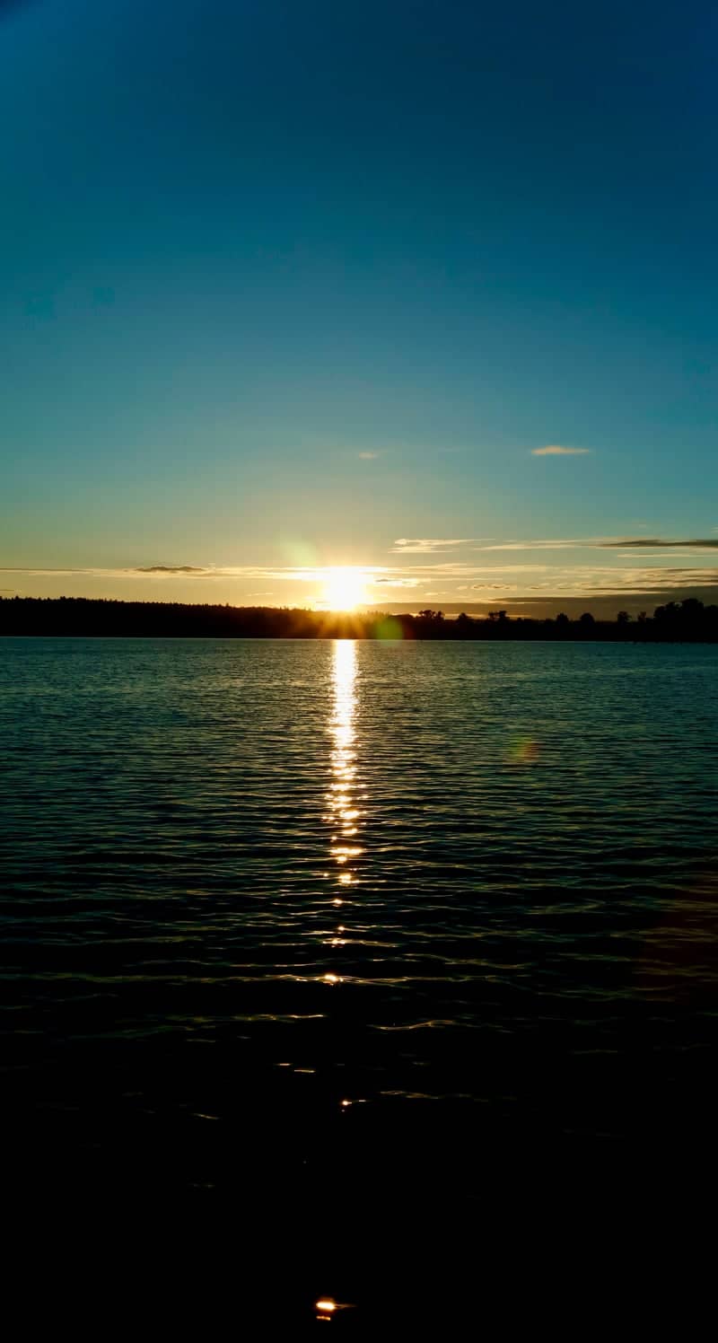Lake Sammamish Shoreline - Image 1