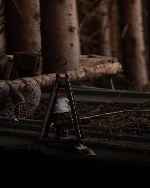 Moody Woodland Still Life - Image 1