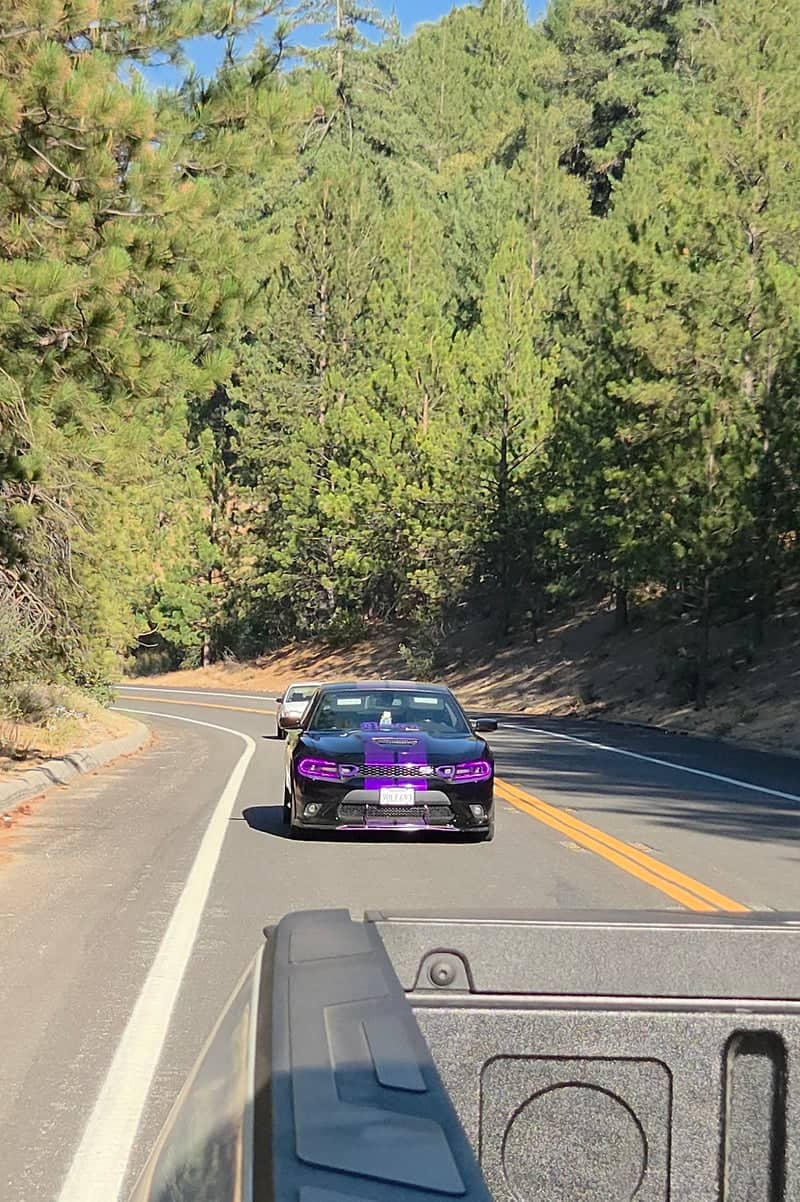 San Bernardino Forest Mountain Pass - Image 1