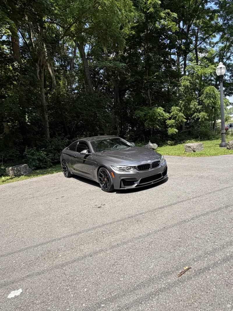 Westshore Boulevard Wooded Roadside - Image 1