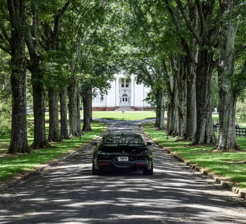 Oak Hill & The Martha Berry Museum Driveway - Image 1