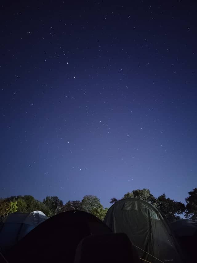 Leśnica Forest Camping - Image 1