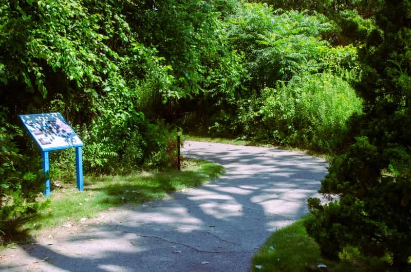 Muskegon Lakeshore Trail - Image 1