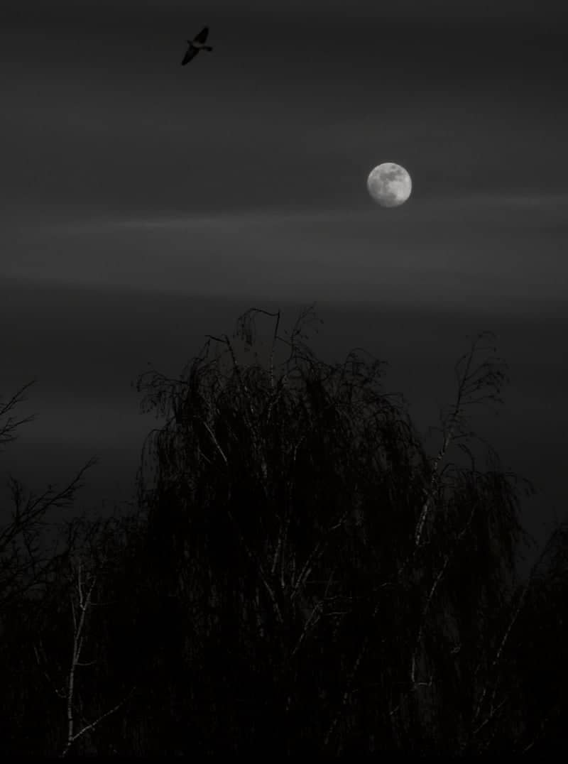 Chernyakhovsk Night Sky - Image 1