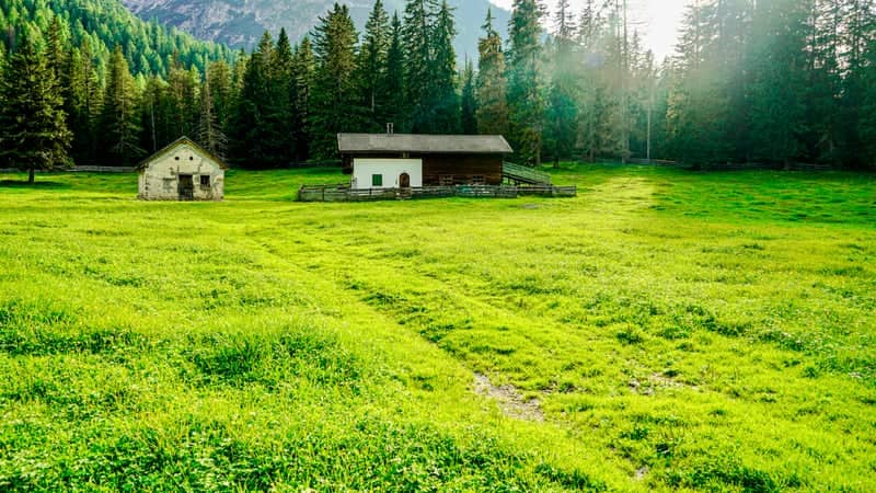 Schluderbach Alpine Meadow - Image 1
