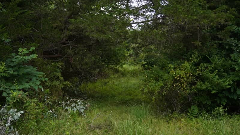 Silver Lake Regional Park - Image 1