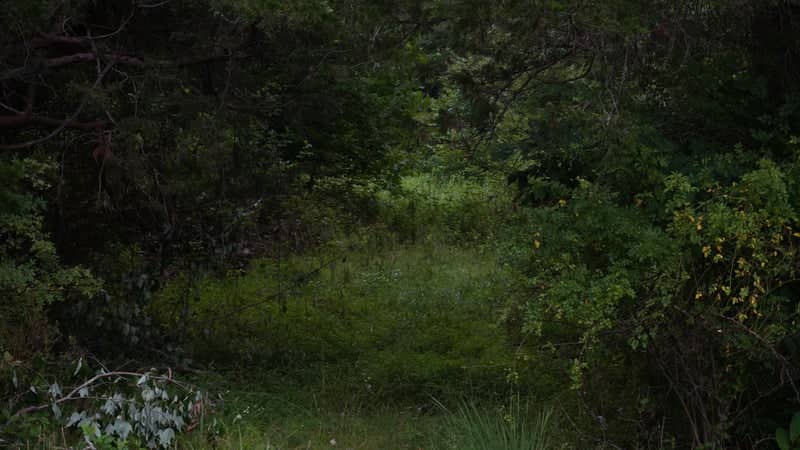 Silver Lake Regional Park - Image 1