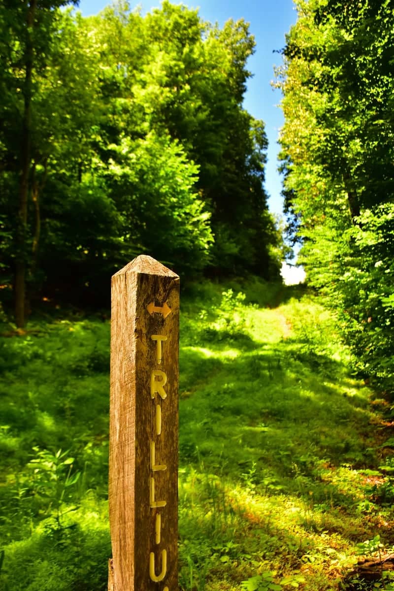 Duff Park Trillium Trail - Image 1