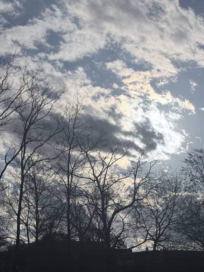 Bridgewater State University Campus - Image 1