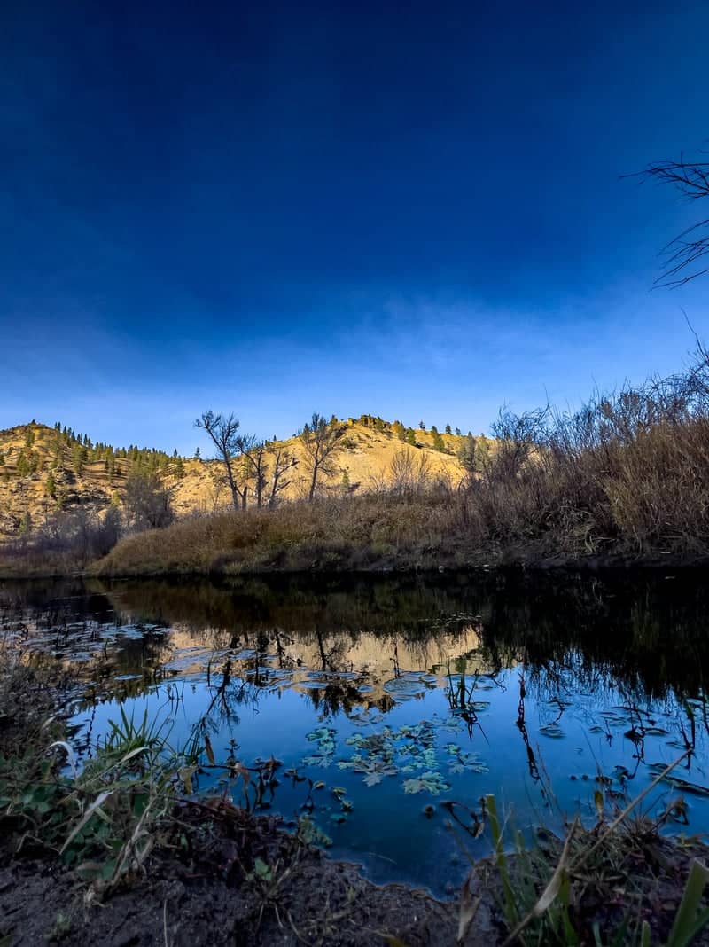 Salmon River Waterfront - Image 1