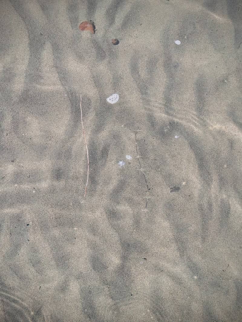 Lake Sakakawea Shoreline - Image 1
