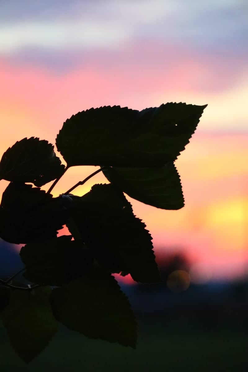 Evansville Rural Sunset Overlook - Image 1