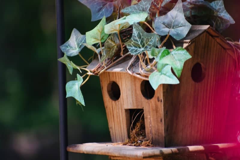 Greensboro Garden Birdhouse - Image 1