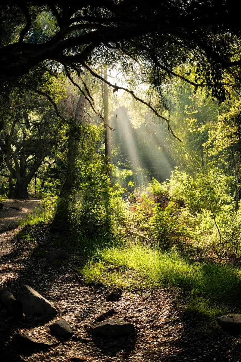Eaton Canyon Nature Center Trails - Image 1