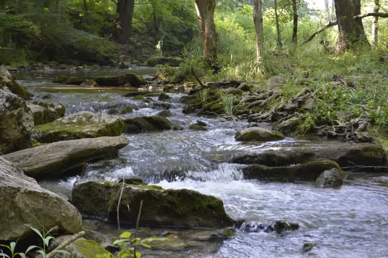 Milligan Creek at Herns Mill - Image 1