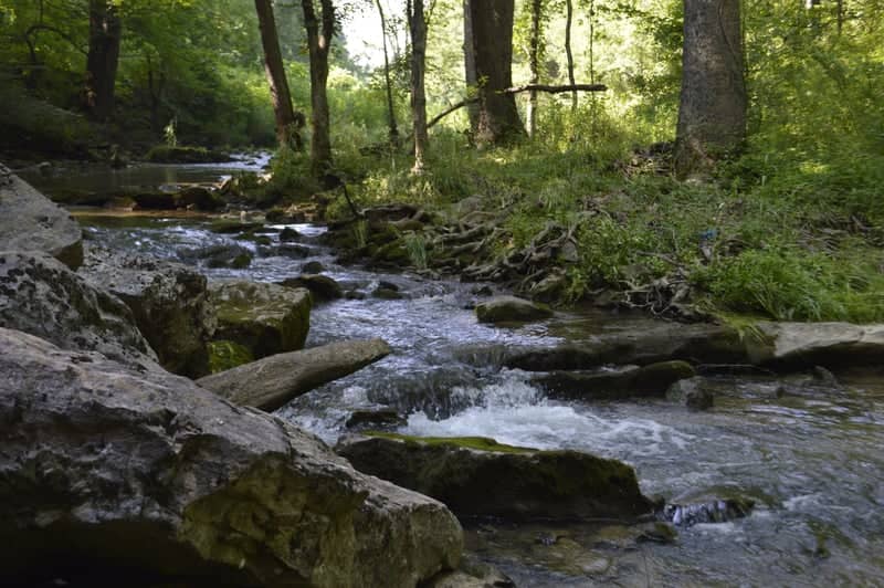 Milligan Creek at Herns Mill - Image 1