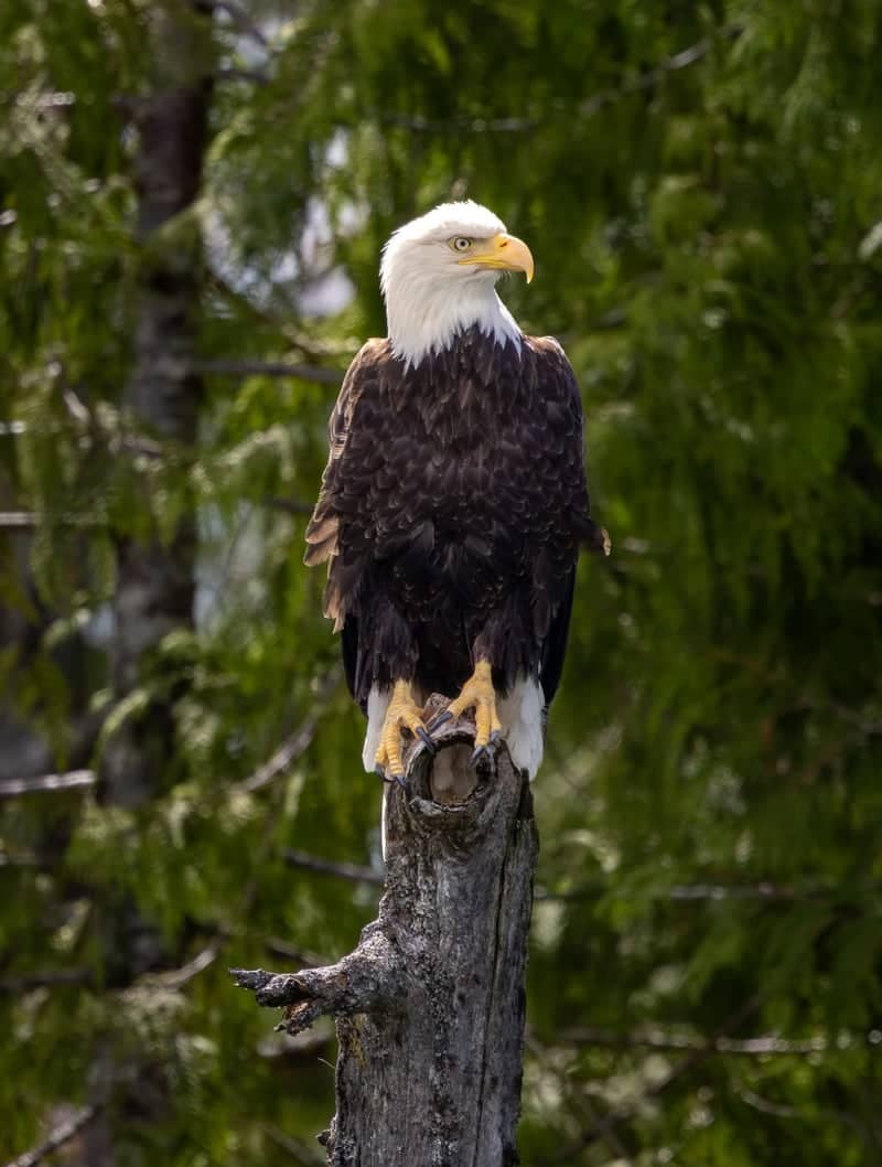 Ketchikan Waterfront - Image 1