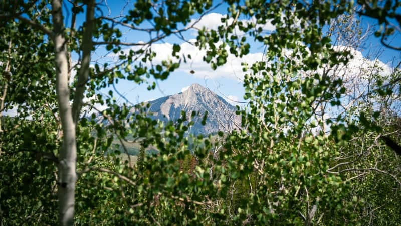 Slate River Road Aspen Overlook - Image 1