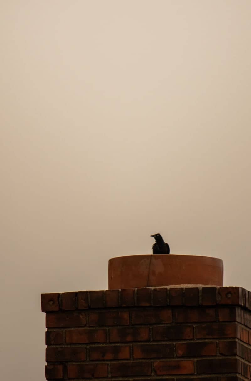 Elizabeth Residential Rooftops - Image 1
