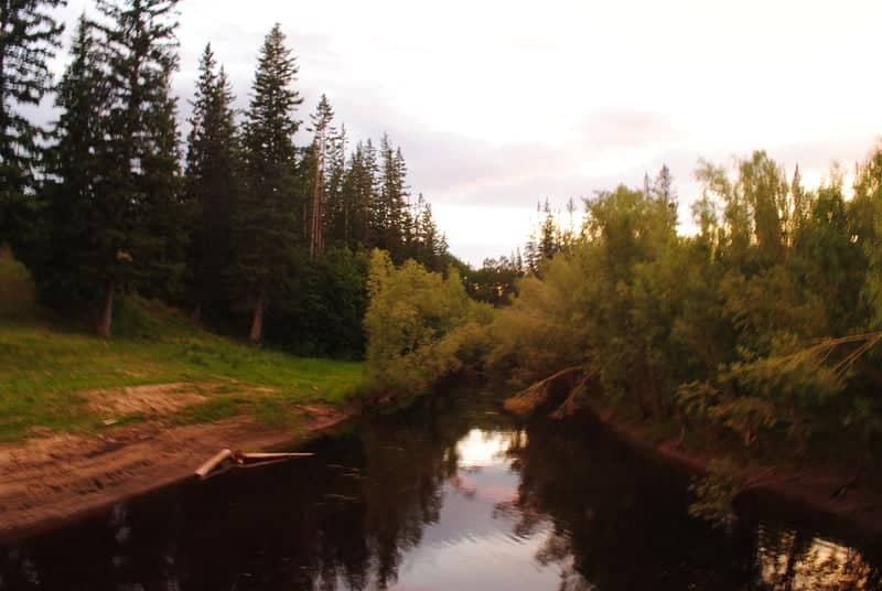 Buotama River Forest Overlook - Image 1