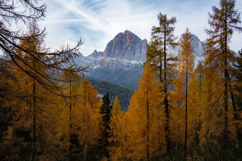 Monte Pelmo Viewpoint, San Vito di Cadore - Image 1