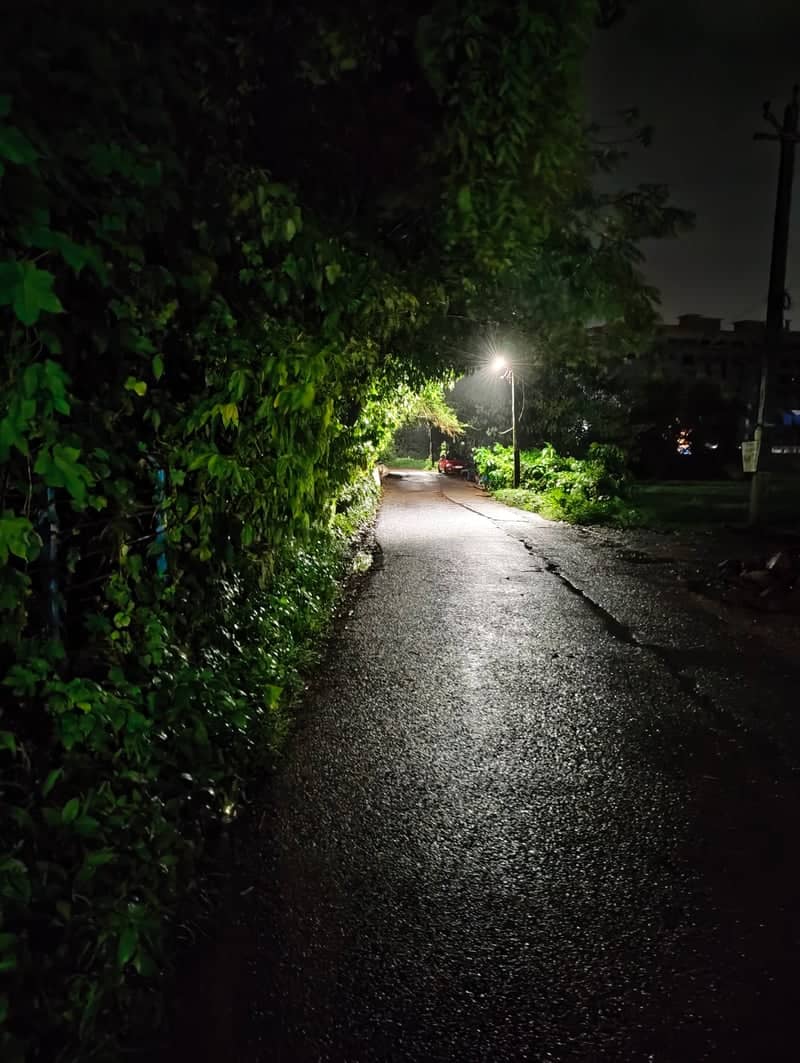 Lush Night Road in Assagao - Image 1