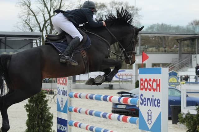 Gniezno Equestrian Arena - Image 1