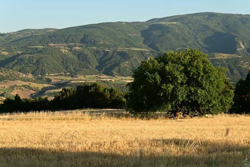 Çayan Rural Landscape - Image 1