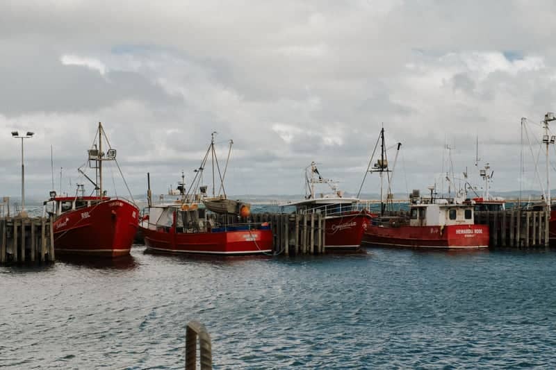 Stanley Wharf - Image 1