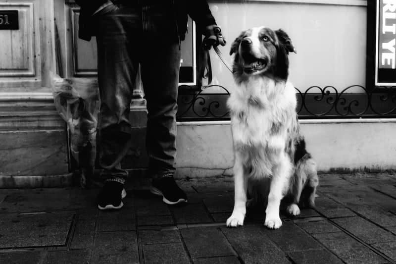 Beyoğlu Street Photography - Image 1