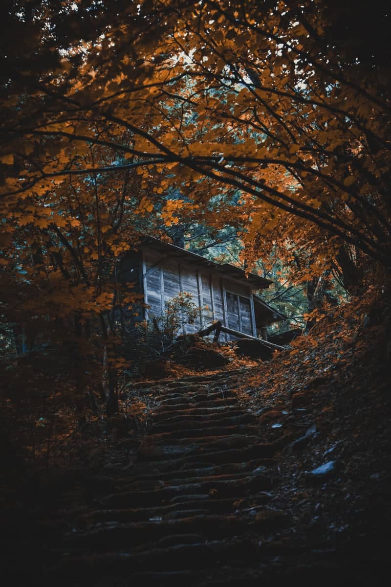 Mountain Shrine Path in Yamaguchi - Image 1