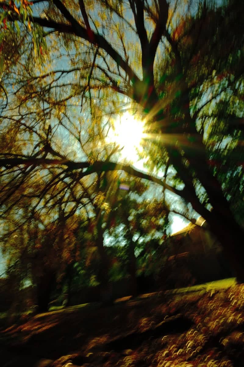 East Toowoomba Garden Canopy - Image 1
