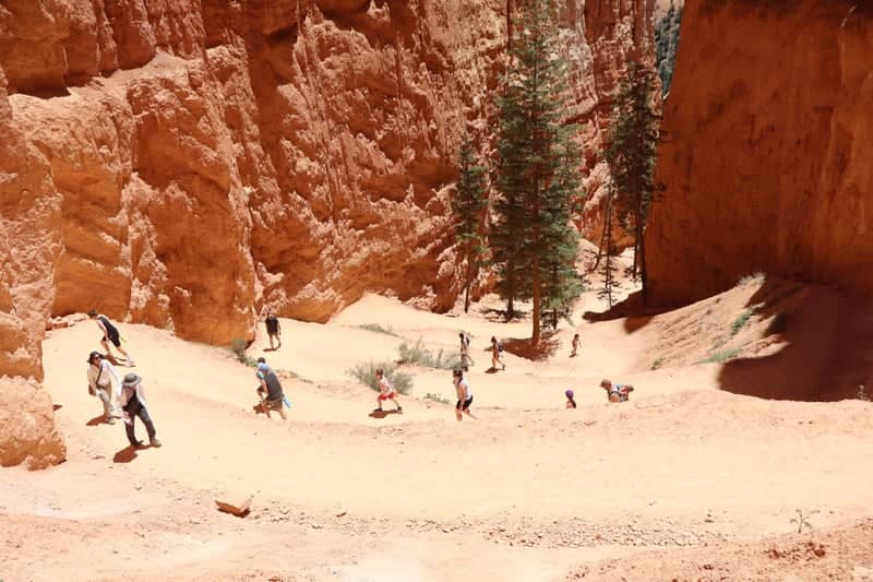 Navajo Loop Trail - Image 1