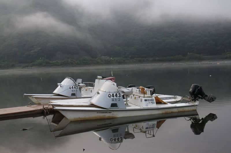 Lake Tanuki - Image 1