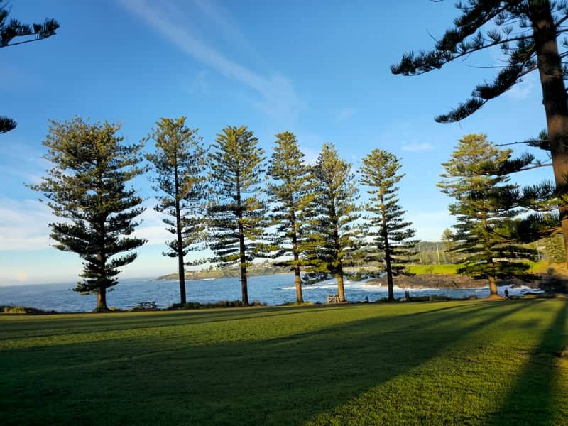 Black Beach Park, Kiama - Image 1