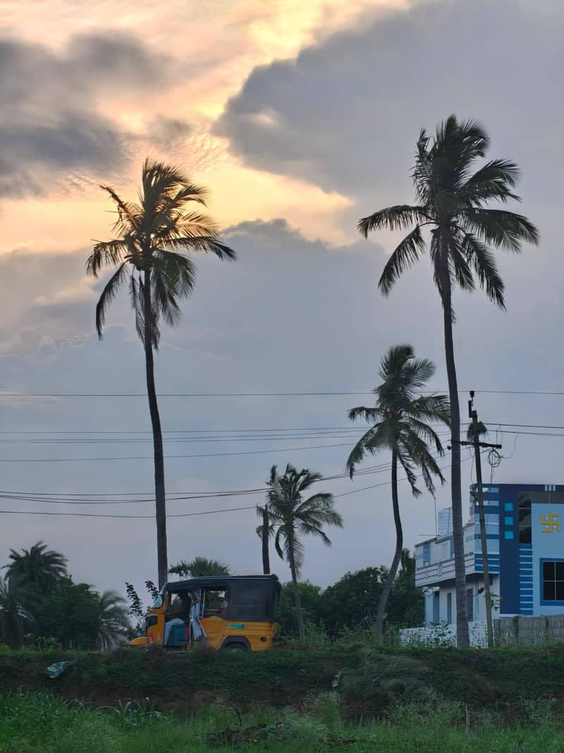 Srikakulam Palm Grove - Image 1