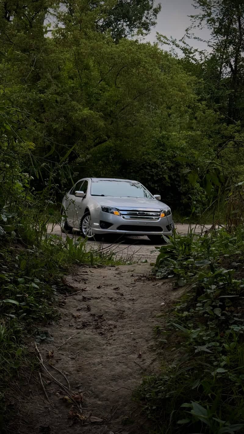Wooded Trail near Black River - Image 1