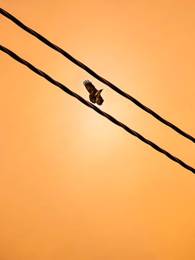 Puncak Alam Golden Hour Skies