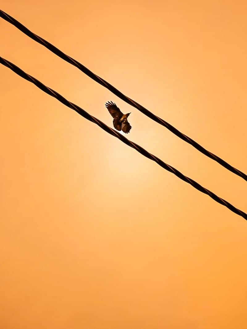 Puncak Alam Golden Hour Skies - Image 1